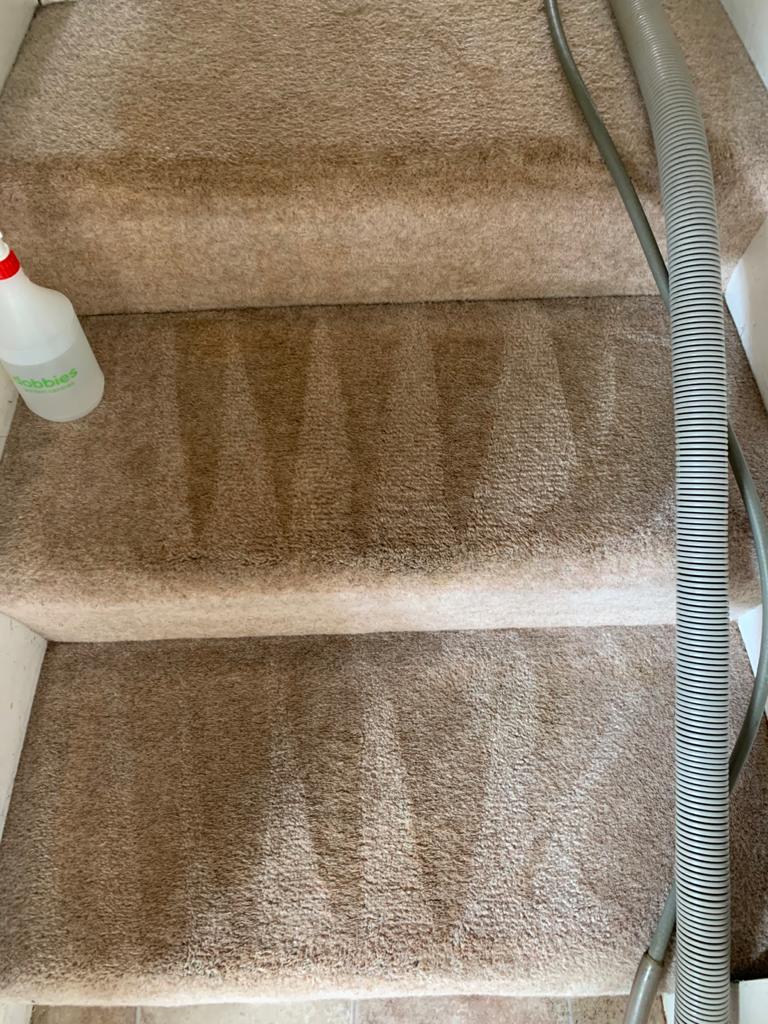 This is a photo of Canterbury Carpet Cleaners Carrying out a carpet clean on a staircase at a house in Canterbury