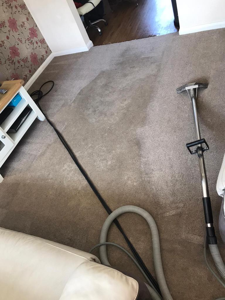 This is a photo of Canterbury Carpet Cleaners Carrying out a carpet clean at a house in Canterbury