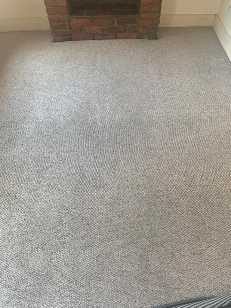 Folkestone carpet clean dining room